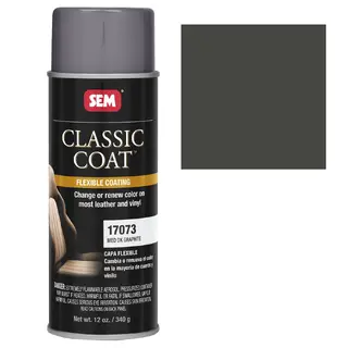 SEM Medium Dark Graphite Paint, 454 g