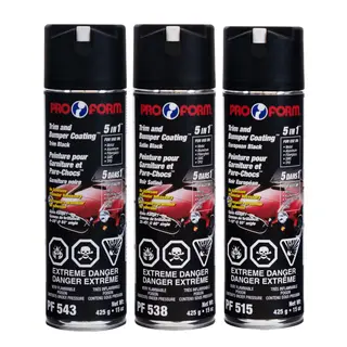 ProForm Black Trim Paint, 425 g Aerosol