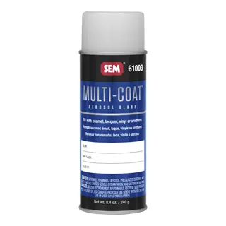 SEM Multi-Coat Empty Aerosol for Paint Mixing, 454 g